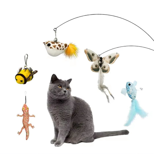 Premium Interactive Cat Feather Teaser Wand with Replaceable Heads and Bell