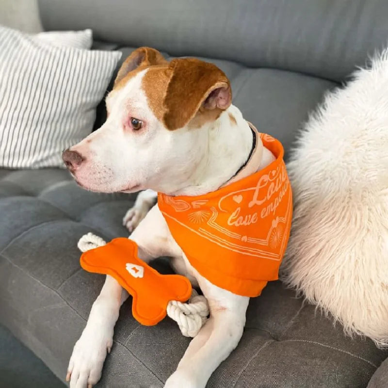 Durable Bone-Shape Felt Nylon Dog Tug Toy for Aggressive Chewers